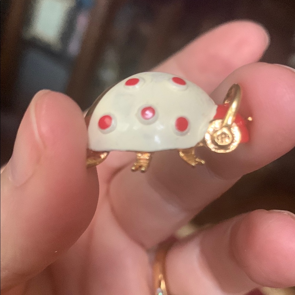 Gold and White Toned turtle??? Brooch